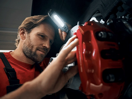 Verificare în 111 puncte