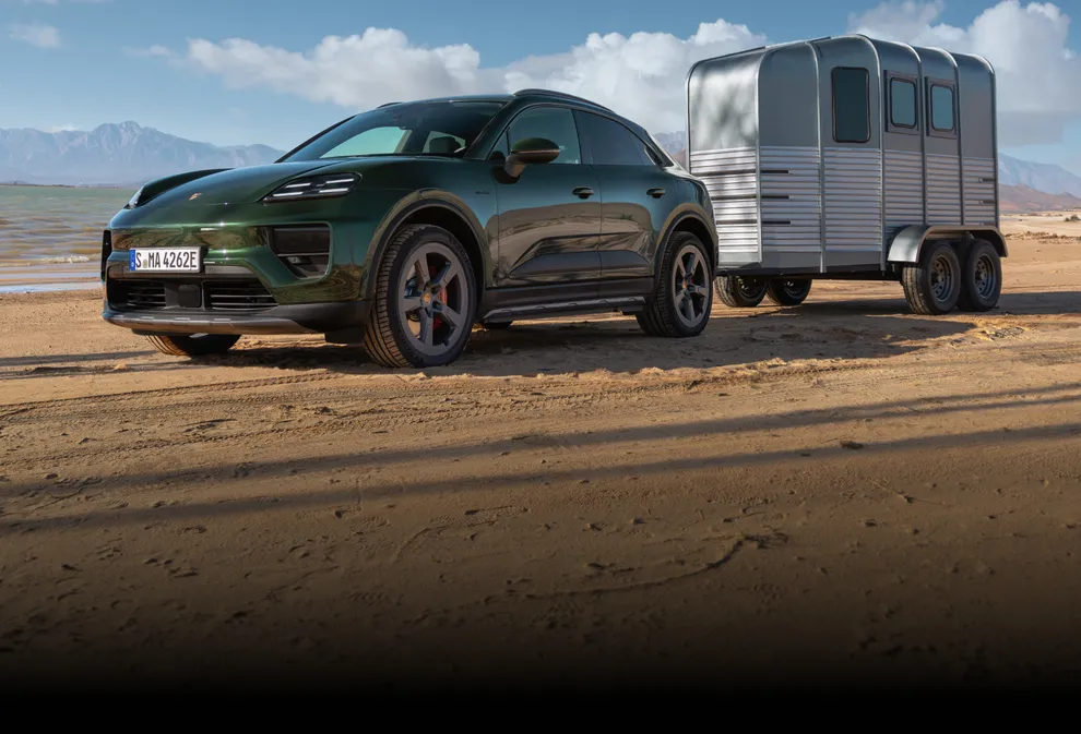 Macan highlights