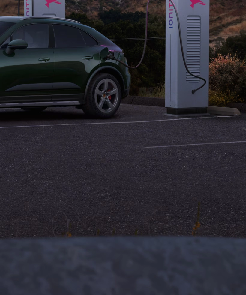 Macan highlights