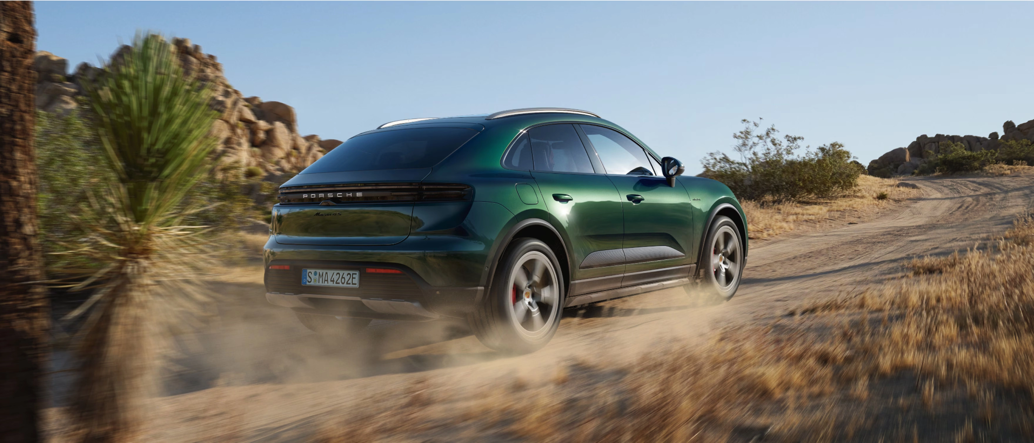 Macan