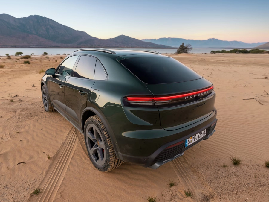 Macan