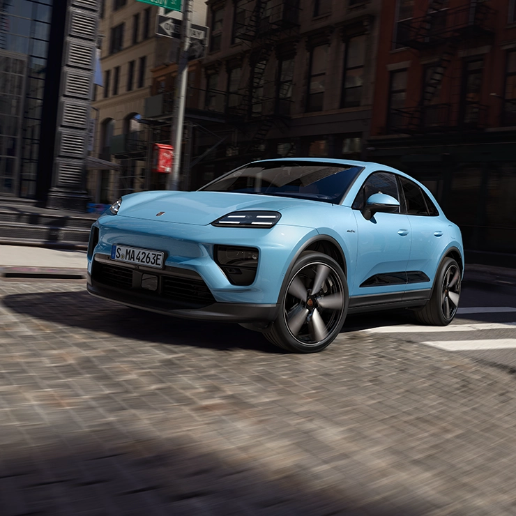 Macan
