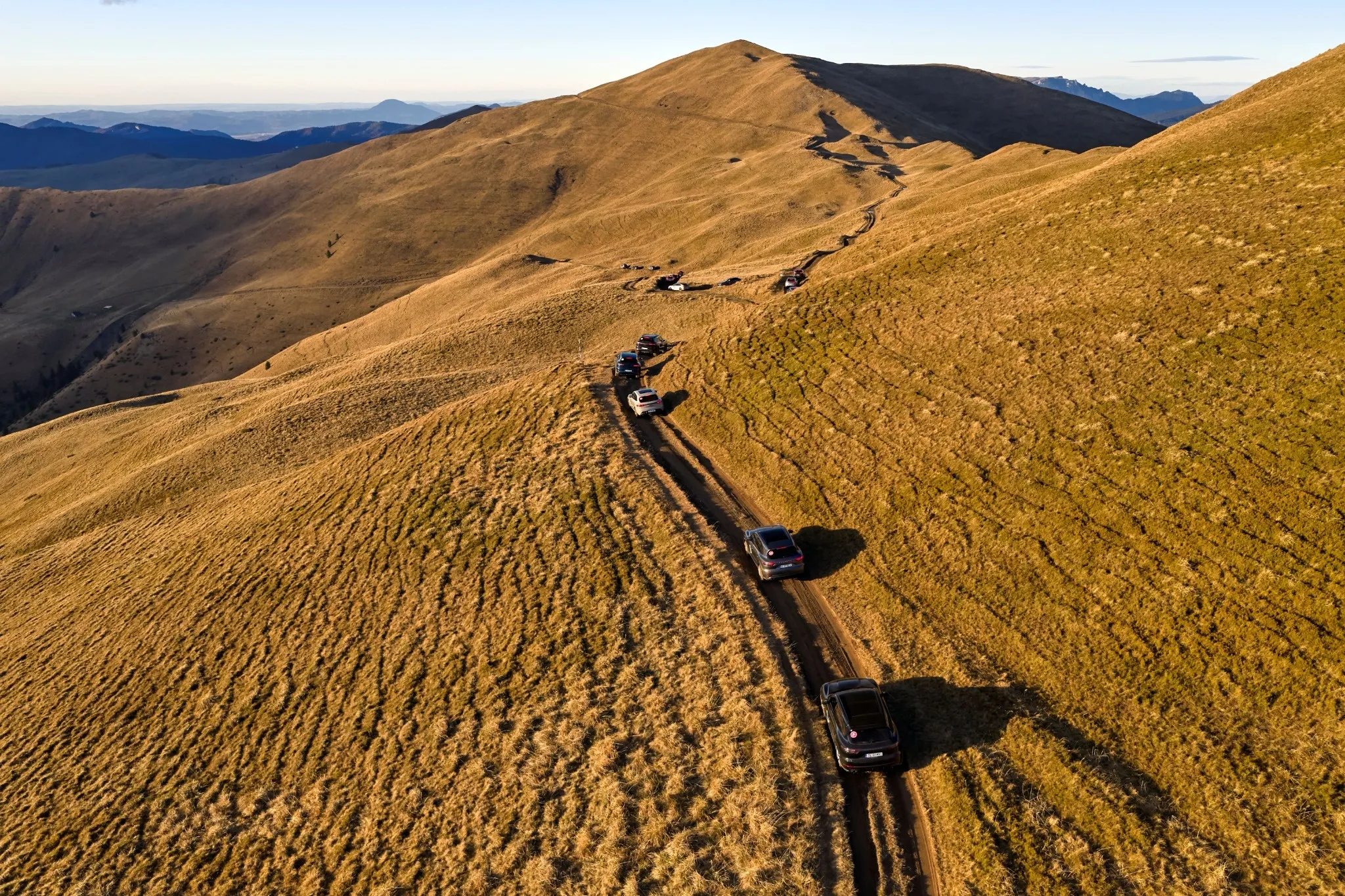 Alpine Experience